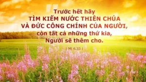 Manna: Người (Thứ Bảy tuần 11 Thường niên - Mt 6,24-34)