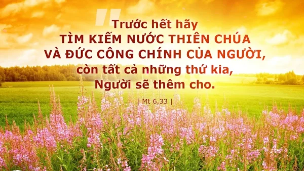 Manna: Người (Thứ Bảy tuần 11 Thường niên - Mt 6,24-34)