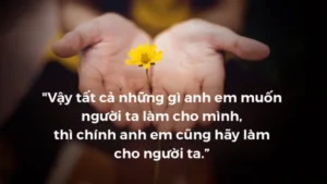 Manna: (Thứ Ba Tuần 12 Thường niên, Mt 7, 6. 12-14 )
