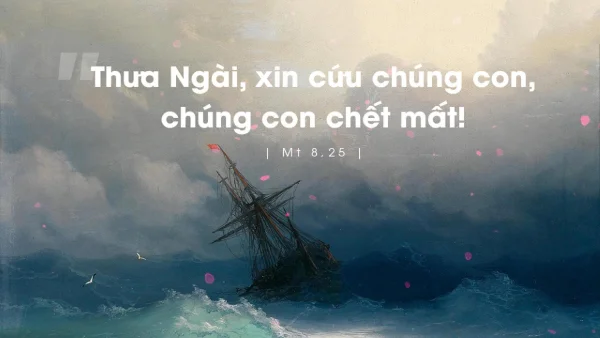 Manna: (Thứ Ba Tuần 13 Thường niên - Mt 8,23-27)