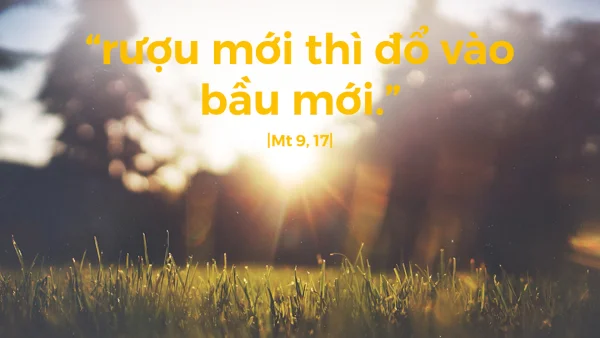 Manna: (Thứ Bảy Tuần 13 Thường niên - Mt 9,14-17)