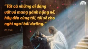 Manna: (Chúa nhật 14 thường niên - năm A, Mt 11,25-30)
