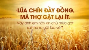 Manna: (Thứ Ba Tuần 14 Thường niên - Mt 9,32-38)