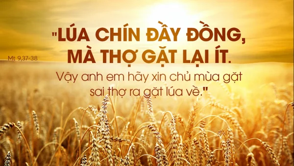 Manna: (Thứ Ba Tuần 14 Thường niên - Mt 9,32-38)