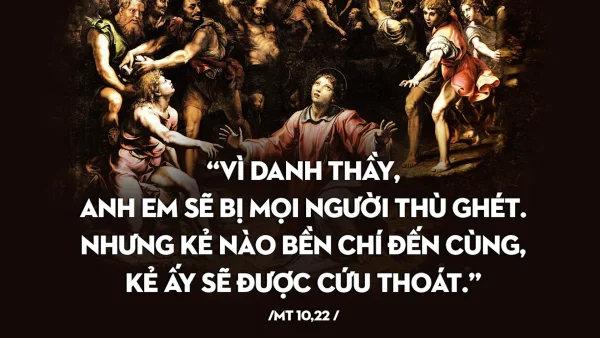 Thứ Sáu Tuần 14 Thường niên - Mt 10,16-23