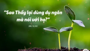 Manna: (Thứ Năm Tuần 16 Thường niên - Mt 13,10-17)