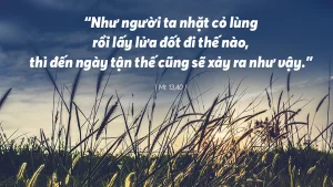 Manna: (Thứ Ba Tuần 17 Thường niên, Mt 13, 36-43)