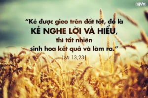 Manna: ( Thứ Sáu Tuần 16 Thường niên, Mt 13, 18-23)
