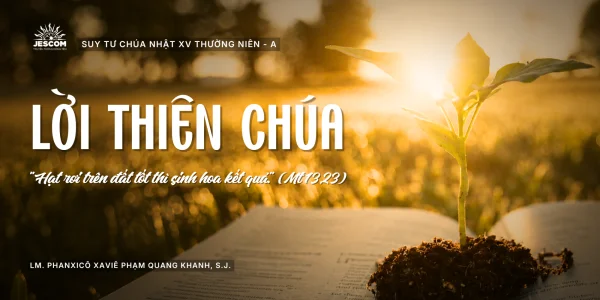 Lời Thiên Chúa | Suy tư Tin Mừng CN XV Thường Niên - Năm A