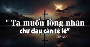Manna: (Thứ Sáu Tuần 15 Thường niên - Mt 12,1-8)