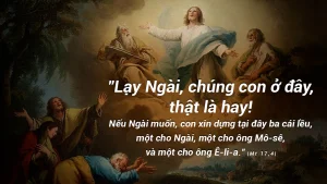 Manna: (Lễ Chúa Hiển Dung, năm A, Mt 17, 1-9)