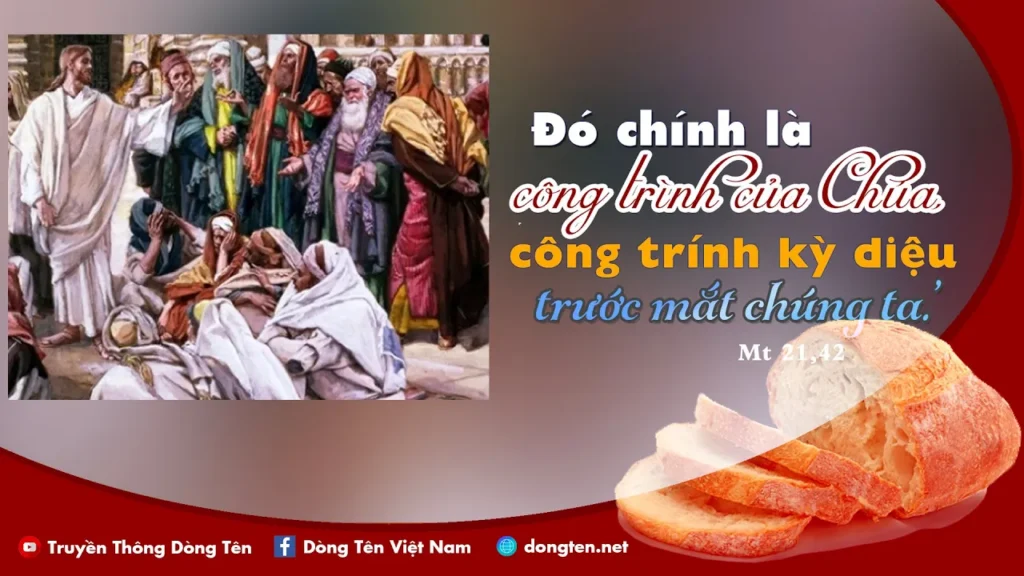 Manna: Sinh hoa lợi (Chúa nhật 27 Thường niên, Năm A, Mt 21, 33-43)
