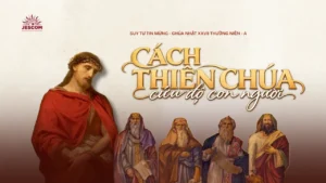 Cách Thiên Chúa cứu độ con người | Suy tư Tin Mừng CN XXVII Thường Niên - Năm A