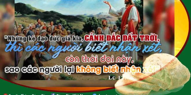 Manna: Nhận xét thời (Thứ sáu Tuần 29 TN - Lc 12, 54-59)